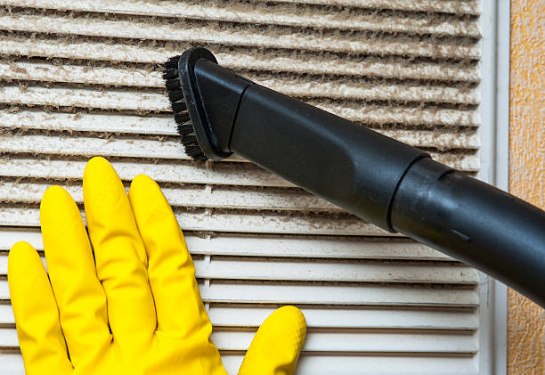 Best Ductwork Cleaning Services  in Milford, IA